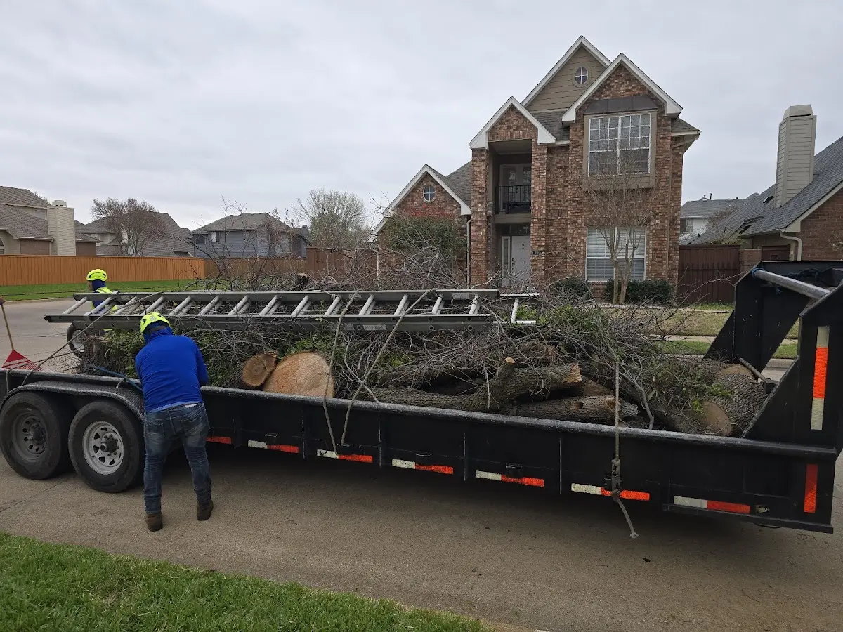 Expert Tree Pest Control with proper safety equipment in Rosemary Beach